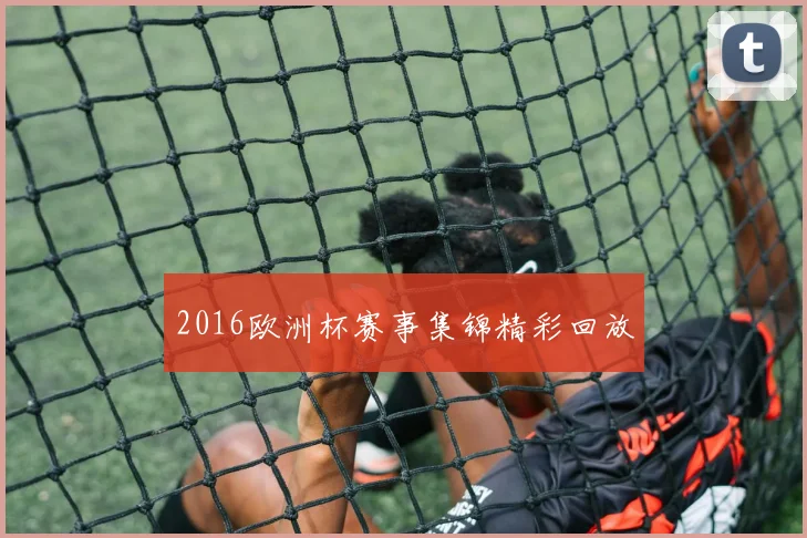 2016欧洲杯赛事集锦精彩回放