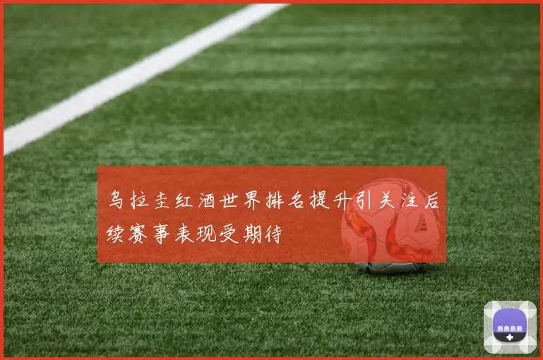 乌拉圭红酒世界排名提升引关注后续赛事表现受期待