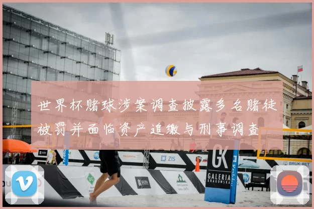 世界杯赌球涉案调查披露多名赌徒被罚并面临资产追缴与刑事调查