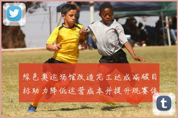 绿色奥运场馆改造完工达成减碳目标助力降低运营成本并提升观赛体验