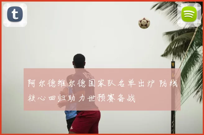 阿尔德维尔德国家队名单出炉 防线核心回归助力世预赛备战